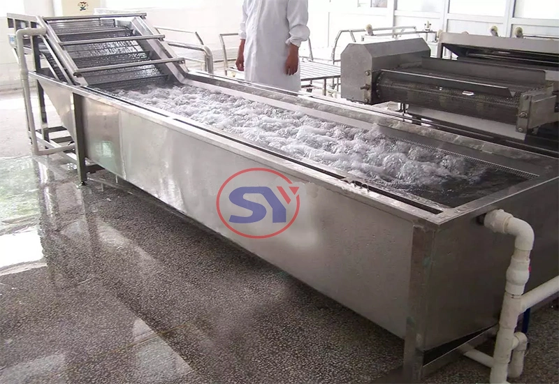 Air Bubbling Water Commercial Washer for Fruit and Vegetable Processing Line