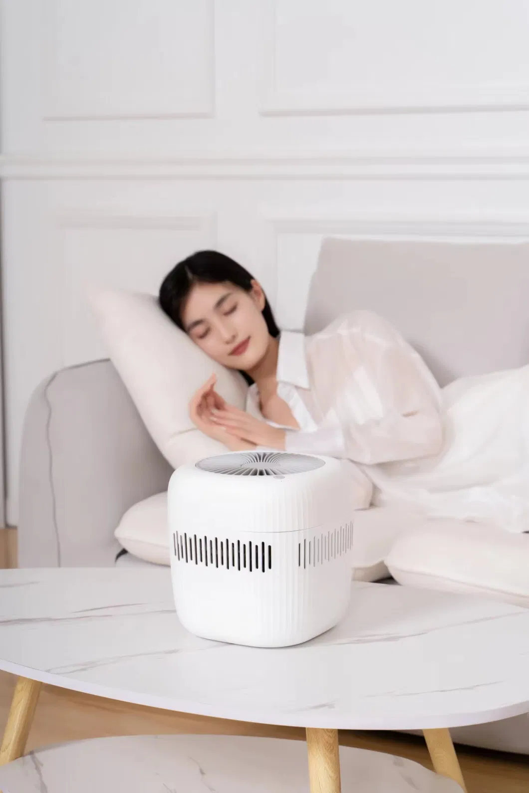 Home Appliance Portable Air Purifier Evaporative Humidifier with USB Type C interface