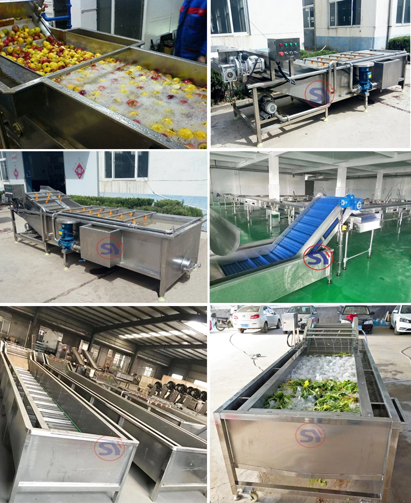 Air Bubbling Water Commercial Washer for Fruit and Vegetable Processing Line