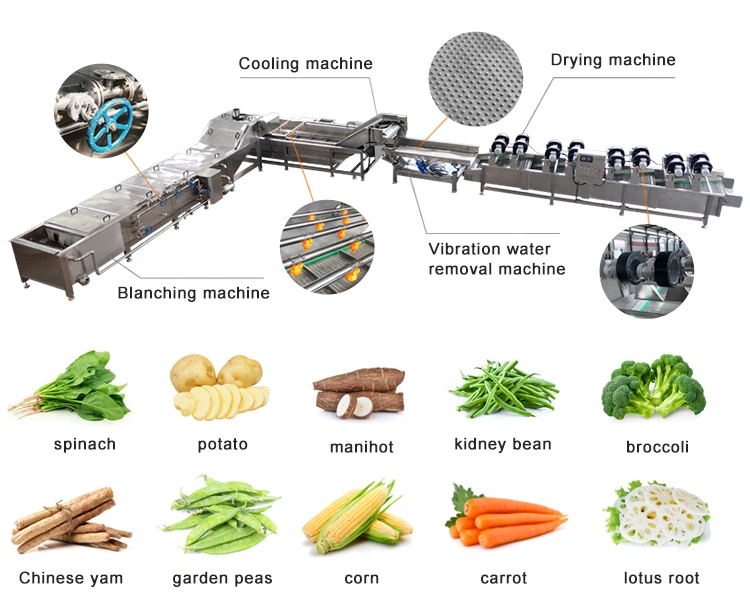 Stainless Steel SUS304 Leek Lettuce Cleaning Machine Automatic Air Bubble Washer for Sale