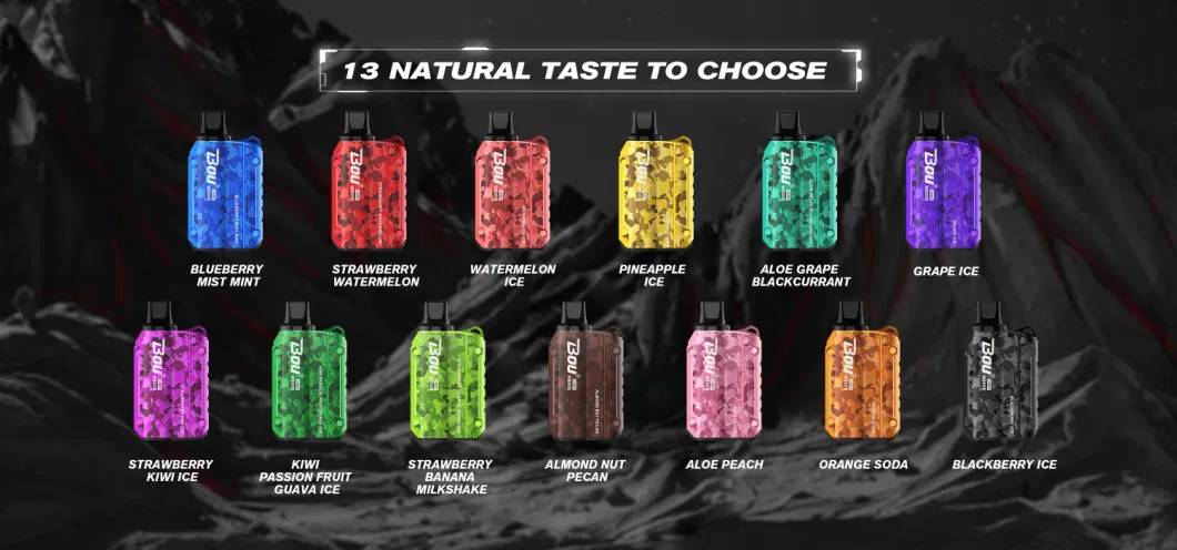 Hot Sell Disposable Vape 8000 Puff Vaporizer Bou Camo Disposable Vape