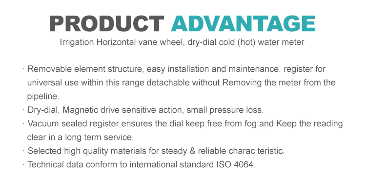 Mechanical Horizontal Removable Irrigate Woltman Flange Detachable Dry Type Cold Water Meter