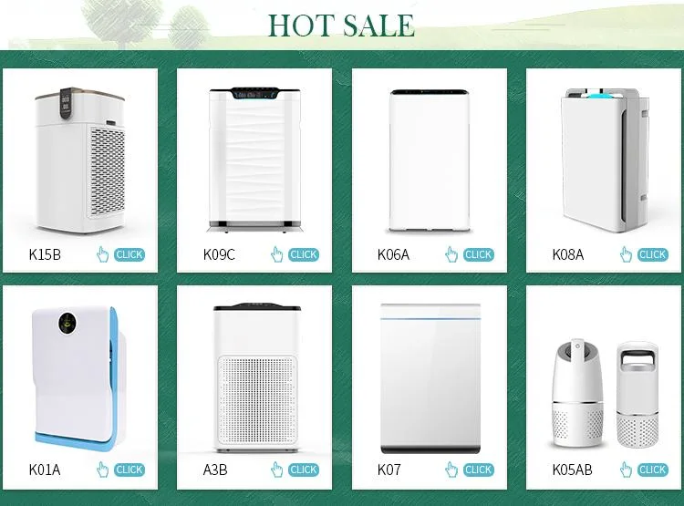 Water Based Scents Bamboo Charcoal Home Air Purifier with Humidifier