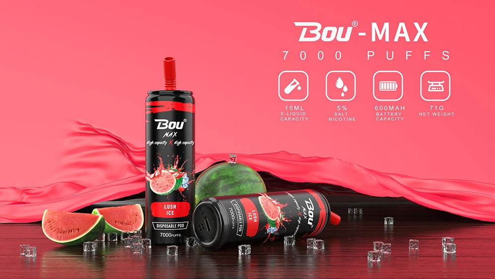 Hot Sell Disposable Vape 8000 Puff Vaporizer Bou Camo Disposable Vape