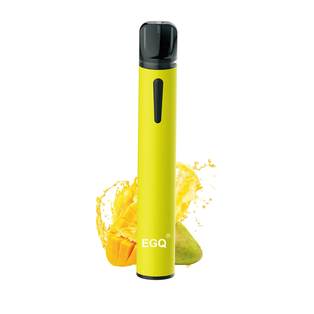 Portable Puff Vape Device for E-Smoking Vape