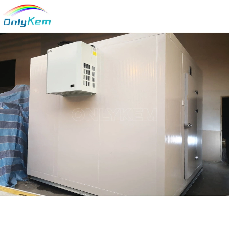 Small Modular Cold Room Freezer Storage Walk in Cooler Chiller Room