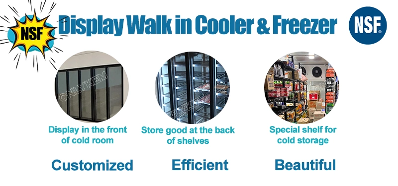 Glass Door Freezer Display Cold Room Walk in Cooler Combo