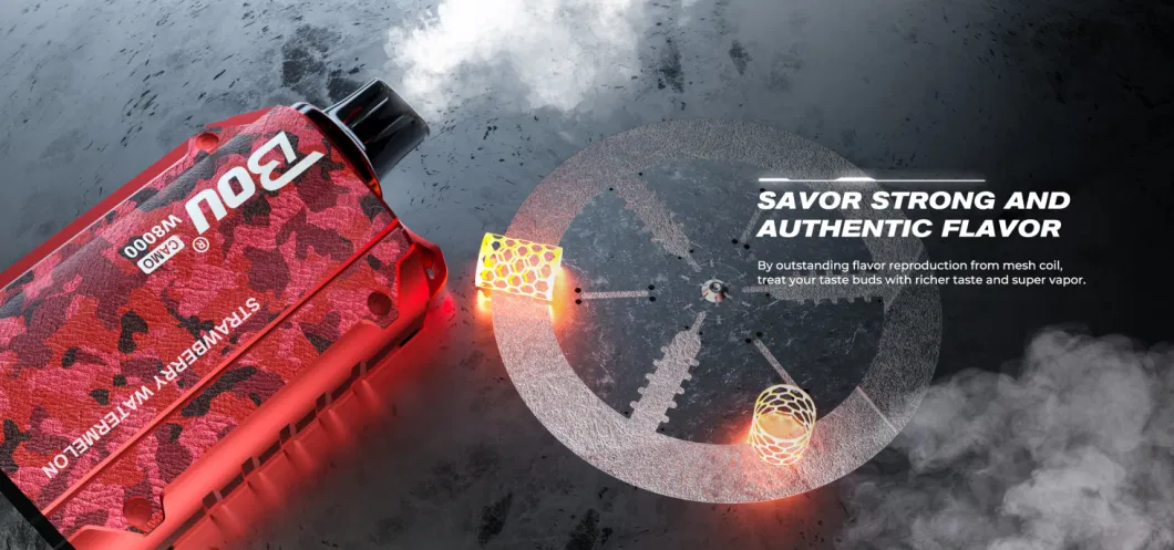 Europe Hot Sale 8000 Puffs Disposable Vape 18ml 5% Nicotine Quick Charge