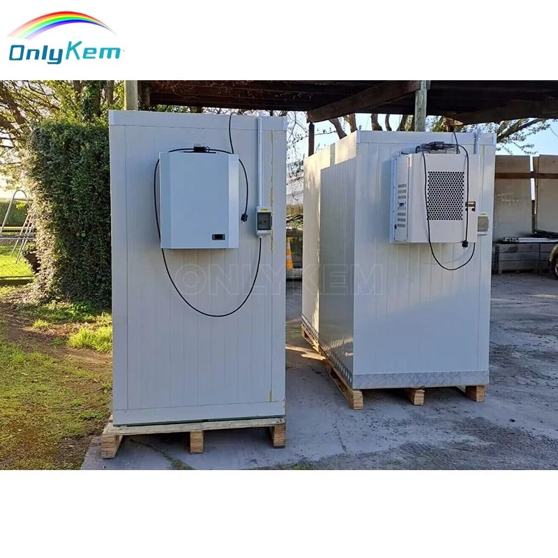 10*10FT Walk in Freezer Storage Monoblock Cold Room