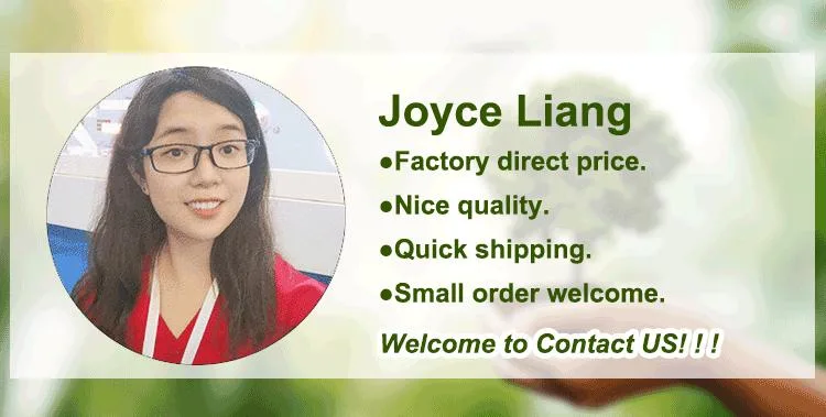Small Power Air Purifier UVC Light Sterilizer Portable UV Sterilization Lamp Motion with Humidifier