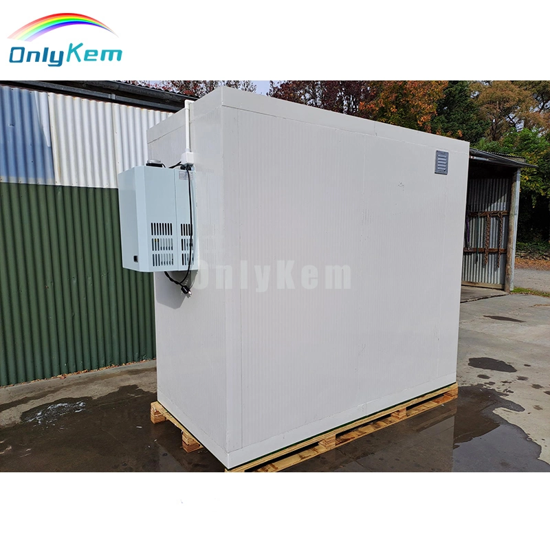 Small Modular Cold Room Freezer Storage Walk in Cooler Chiller Room