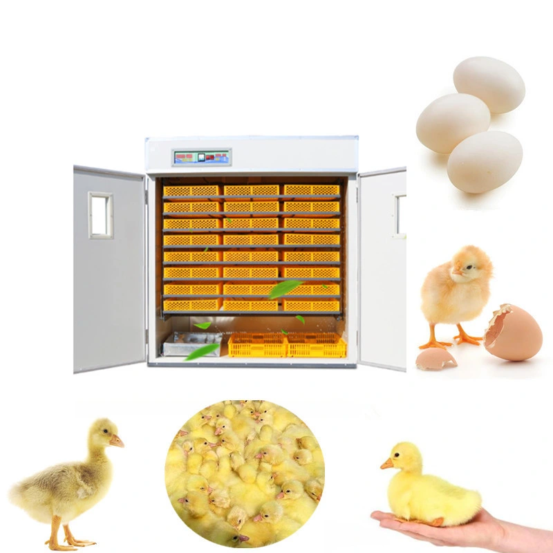 High Power Automatic Chicken Duck Bird Egg Incubator Machine Manufacturer