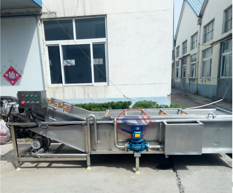 Air-Blowing Leafy Lettuce Washer Vegetable Washing Equipment for Chili Papaya