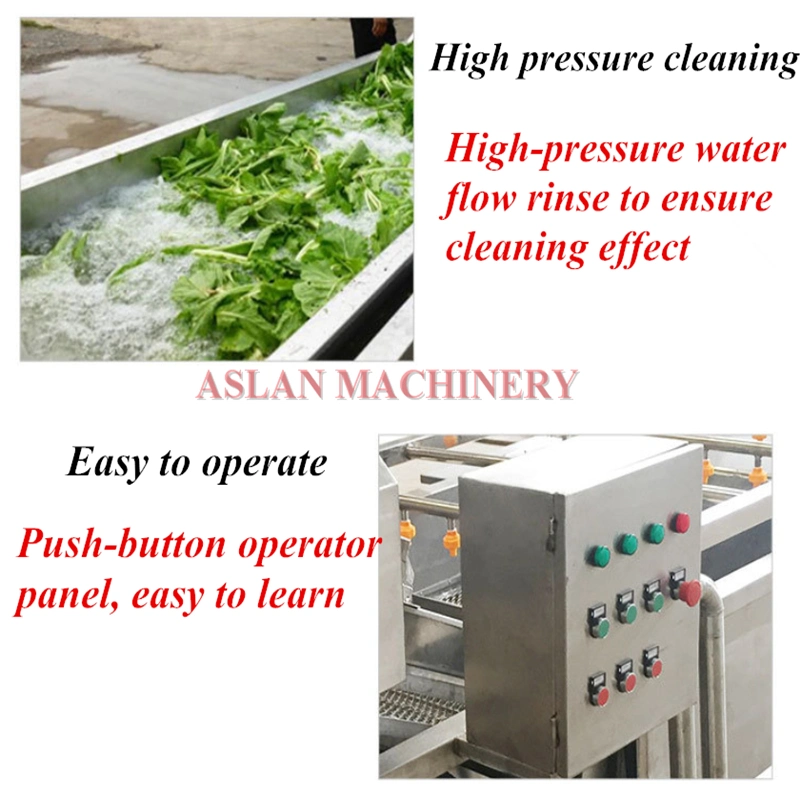 Stainless Steel Fruit Bubble Washer /Air Bubble Washing Machine with Ozone