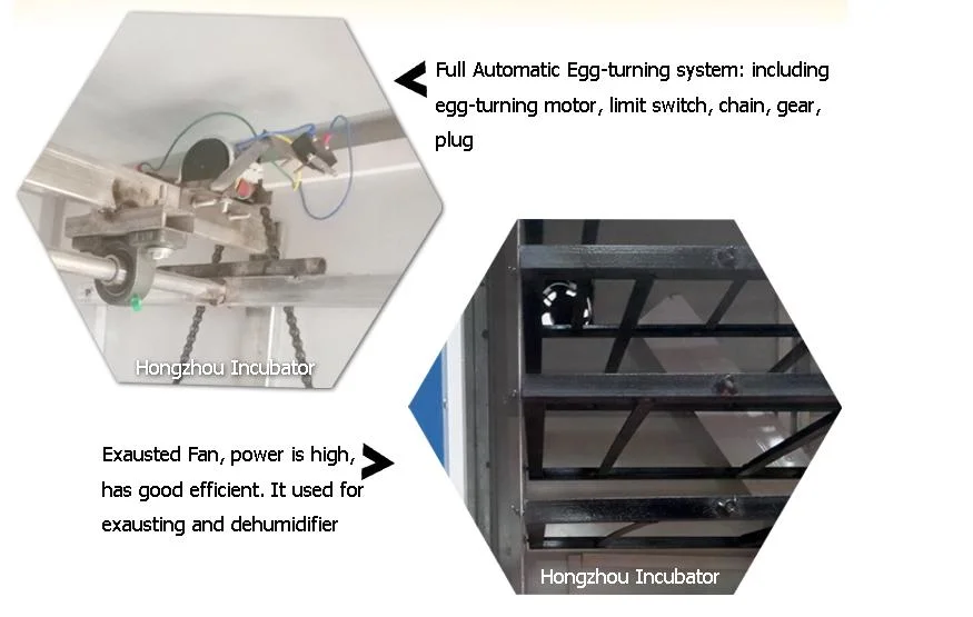 High Power Automatic Chicken Duck Bird Egg Incubator Machine Manufacturer