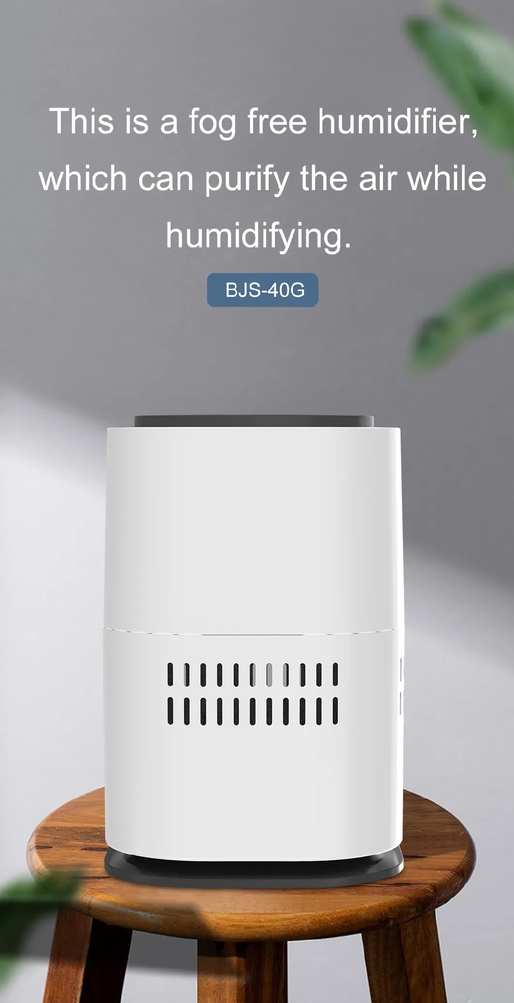 2024 New Product Anion Air Cool Mist Humidifier