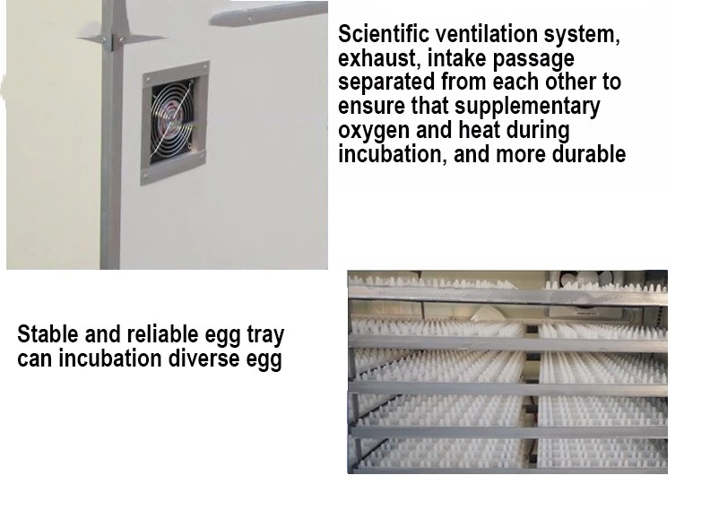 High Power Automatic Chicken Duck Bird Egg Incubator Machine Manufacturer