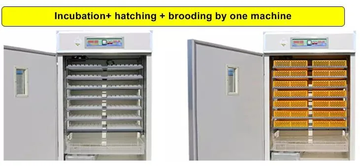 High Quality Large Farm Fully Automatic Household Intelligent Incubator for Sale