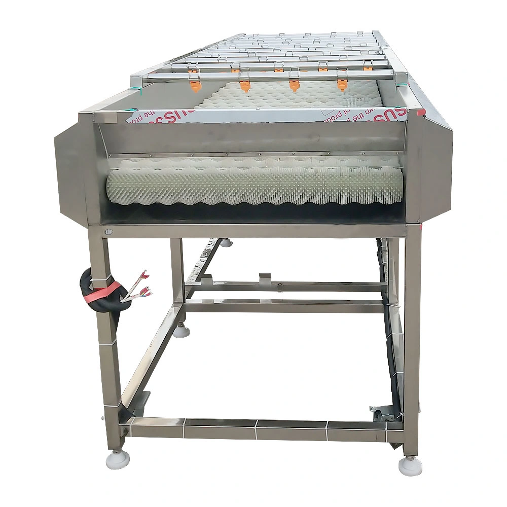 Vegetable Fruit Air Bubble Washing Machine Potato Cleaning Potato Chips French Fries Processing Cabbge Lettuce Apple Orange Bubbling Washer Machine