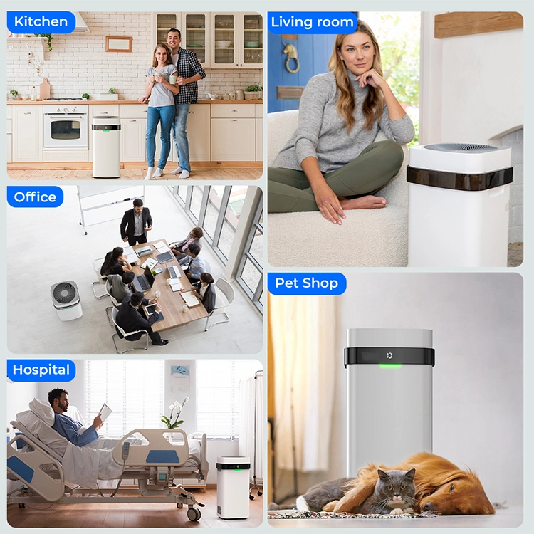 2024 Best Home Air Purifier Portable Air Purifier with HEPA Filter