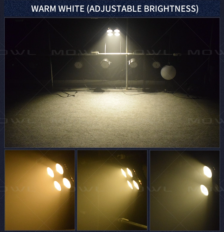 Stage Equip Lighting Warm White Cool White PAR COB 200W Audience Light 4 Eyes LED Stage Blinder Light