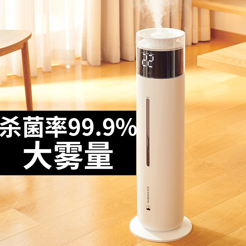 10L Large Space Huge Capacity Room Floor Standing Strong Humificador Ultrasonic Fog Air Humidifiers for Plants