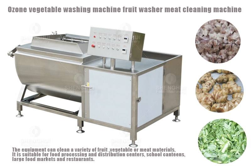 Automatic Ozone Bean Sprouts Washing Machine Fruit Cleaning Machine Air Bubble Meat Washer