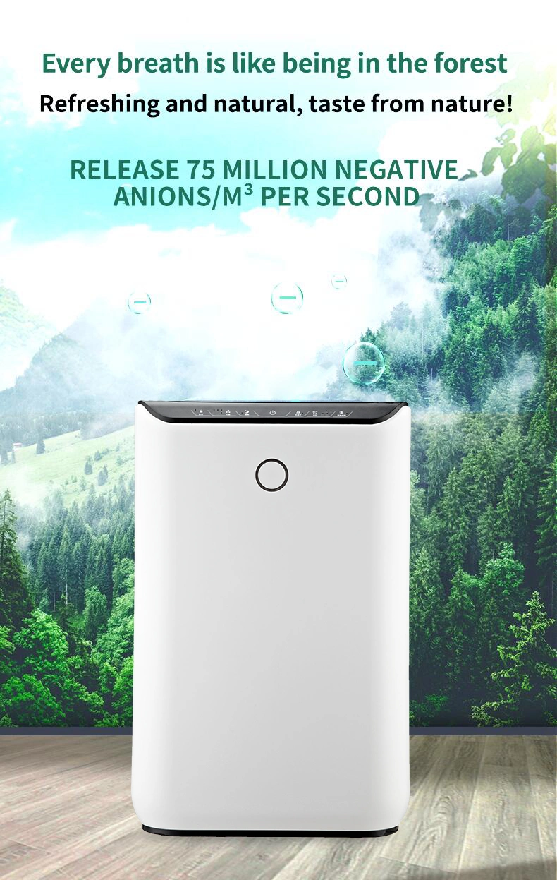 Top Selling Smart Air Washer Bkj-370 From Beilian for Home