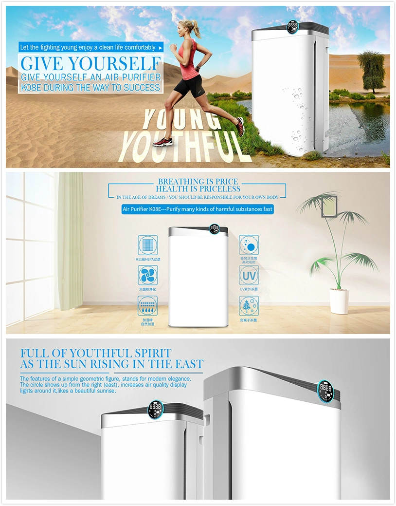 Air Purifier with Negative Ion Air Purifier HEPA Filter Large Room Air Cleaning Machine
