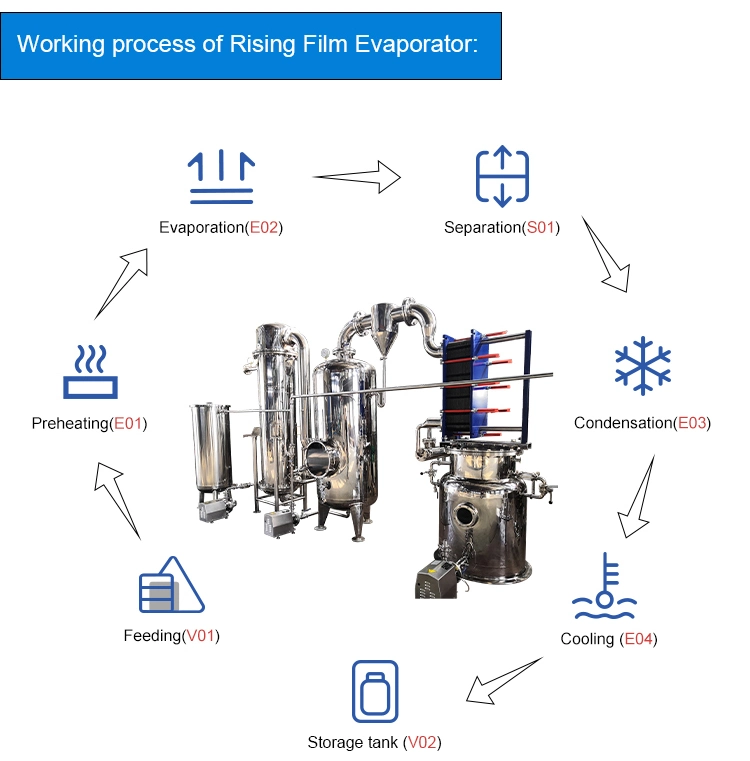 Evaporating Evaporator Vacuum Steam Honey Rising Film Evaporator