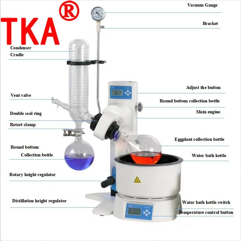 China Gold Factory Steam Rotary Evaporator