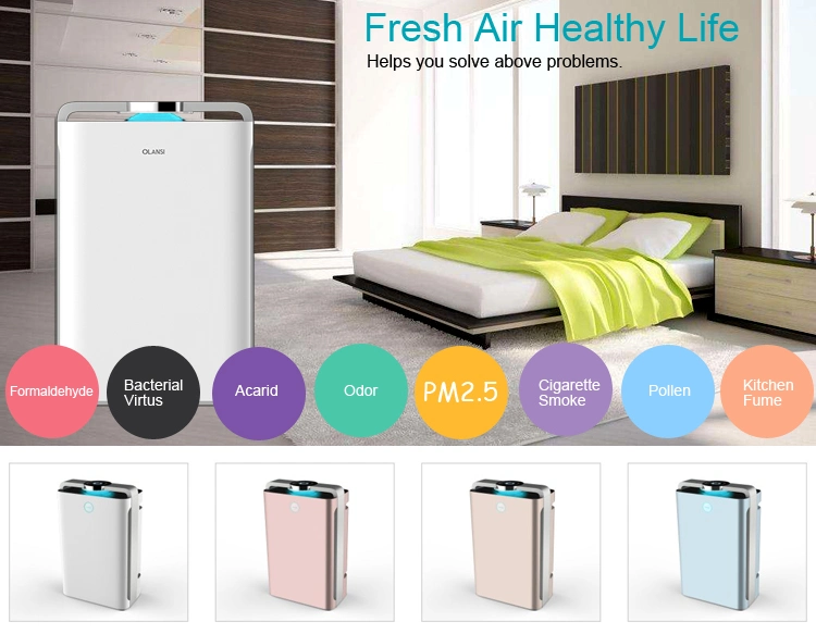 Air Purifier Anion Air Filter Humidifier Suitbale for Home Use