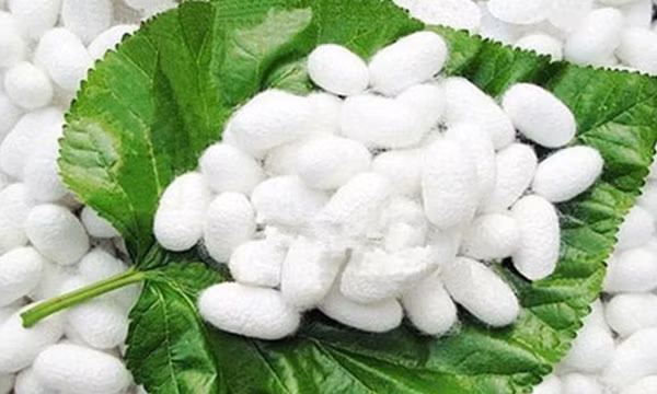 100% Mulberry Silk Scarf with Floral Print