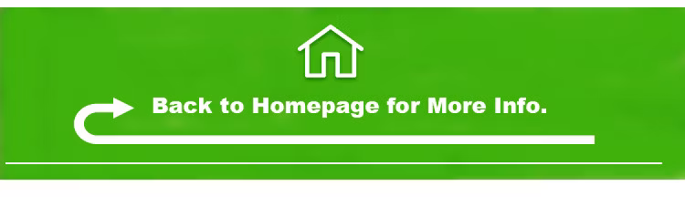 Private Label Energy Supplements Beta-Alanine Gummy Creatine Pre Workout Gummies