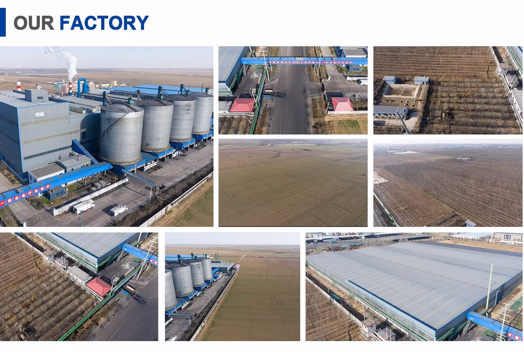 Cetyl Stearyl Alcohol Cetearyl Alcohol for Cosmetic Emulsifier CAS 36653-82-4