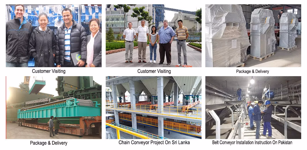 High Screening Efficiency Diameter 800mm Pollen Vibrating Sieving Machine