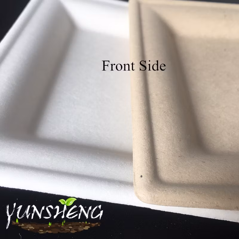 Disposable Environmentally Paper Square Plate/Rectangle White Bagasse Plate