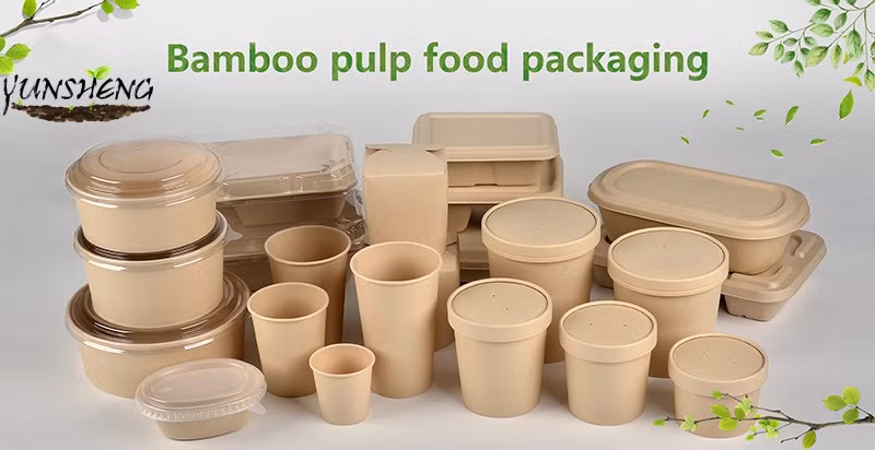 Disposable Environmentally Paper Square Plate/Rectangle White Bagasse Plate