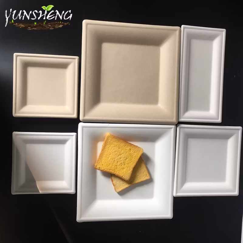 Disposable Environmentally Paper Square Plate/Rectangle White Bagasse Plate
