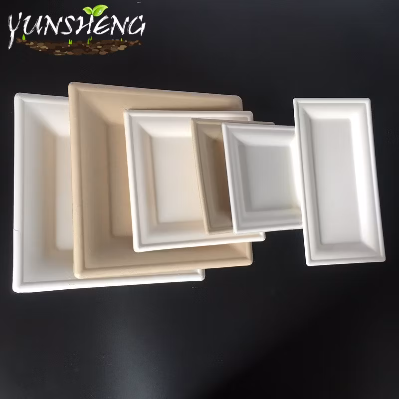 Disposable Environmentally Paper Square Plate/Rectangle White Bagasse Plate