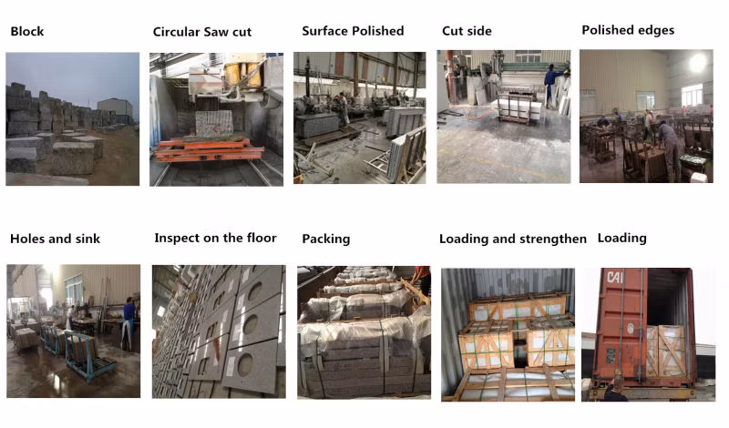 Granite Kitchen Countertop/Vanity/Worktop/Island Surface Granite Tile/Slab Factory