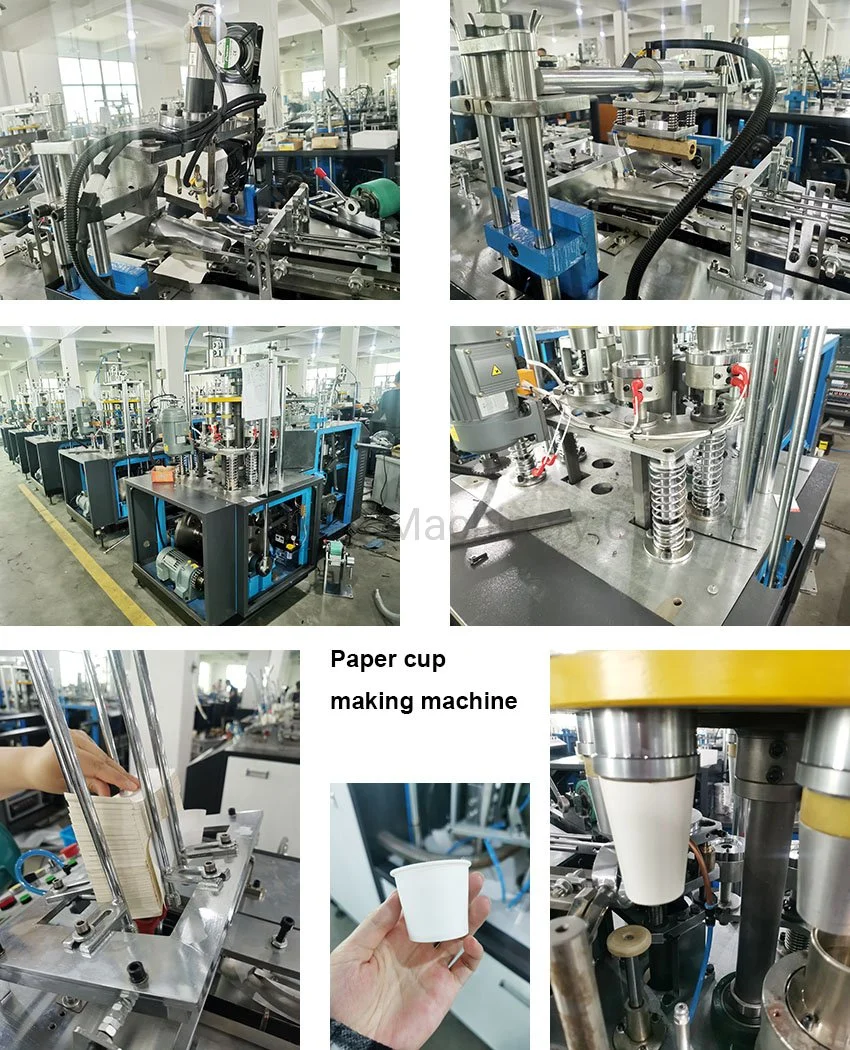 PE Coated Forming Paper Plate Cap Coffee Tea Making Machine Price