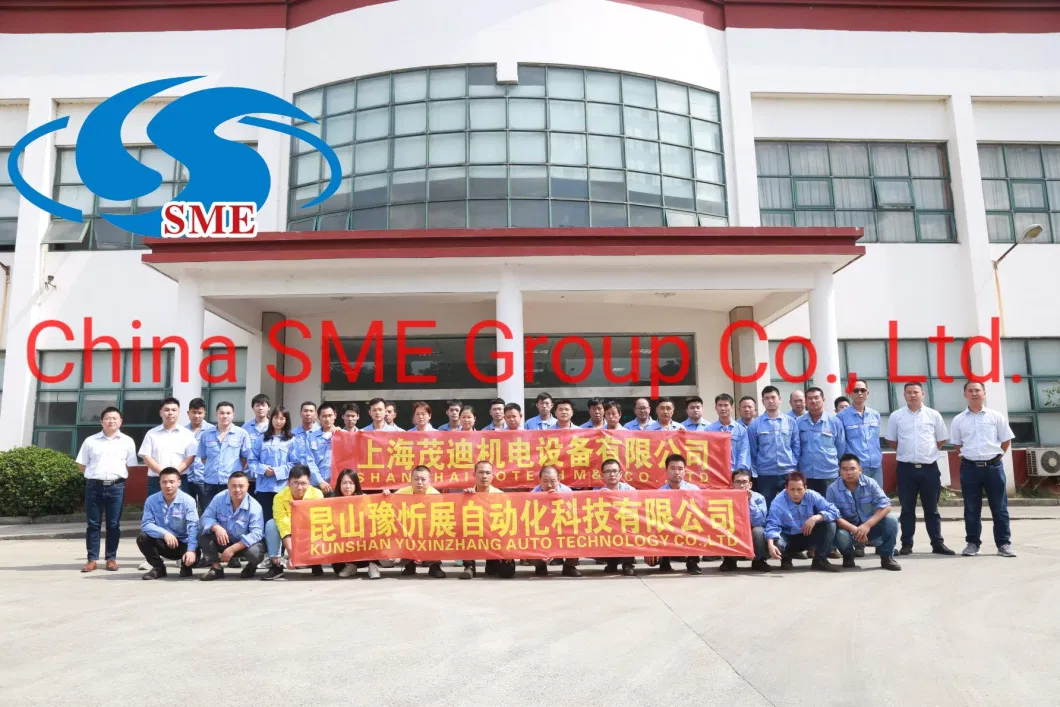 Automatic Gloves Packing Machine Flat Sachet Packing Mini Wrapping Machine Pillow Bag BOPP Packing Film Date Printer