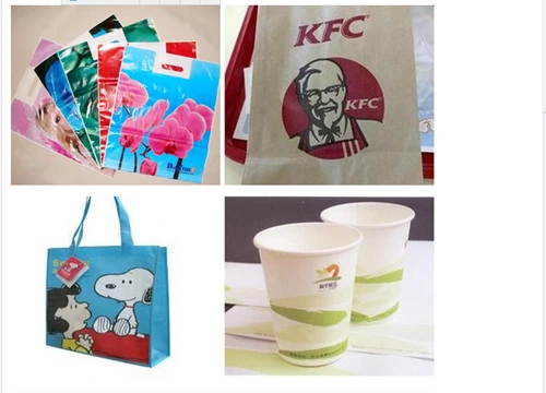 Two Color Paper Bag &amp; Paper Cup BOPP Flexo Printer