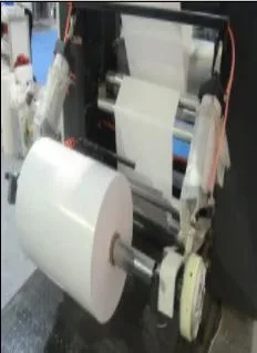 Automatic Flexographic Printing as Paper Roll Polyethylene, Polyethylene Plastic Bag Machine Price