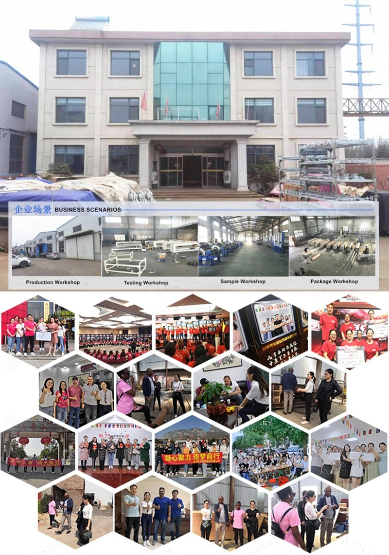 Canvas &amp; Rice Bag Paper Bag Logo Printing Machine Printer