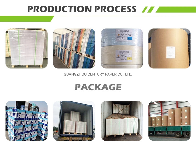 Digital Printing Compatible Printing Coated Fbb/Ivory Board Paper