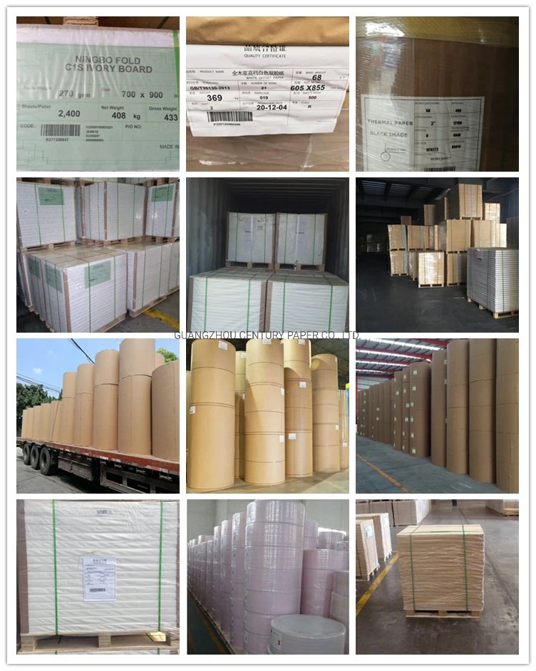 Digital Printing Compatible Printing Coated Fbb/Ivory Board Paper