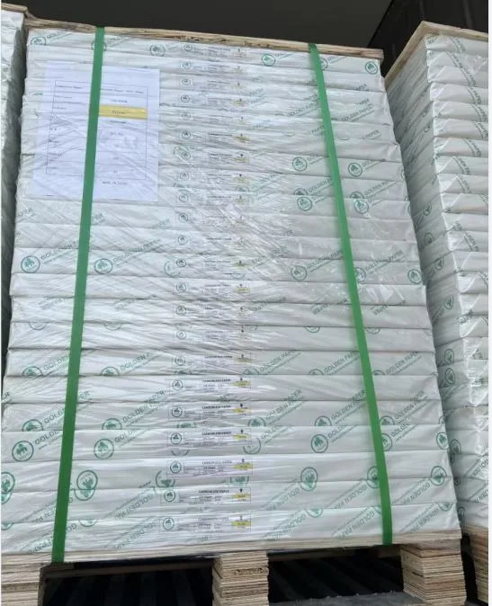 Wholesale Ivory Board/ C1s Fbb Duplex Paper Board/White Printing Board