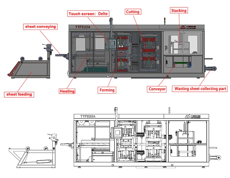 Heat Press Thermoforming Making Machine for Biodegradable Bagasse Food Packaging Box